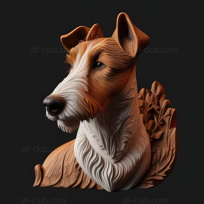 st Smooth   haired fox terrier dog